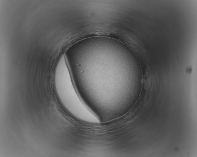 X0000110990748200906191427