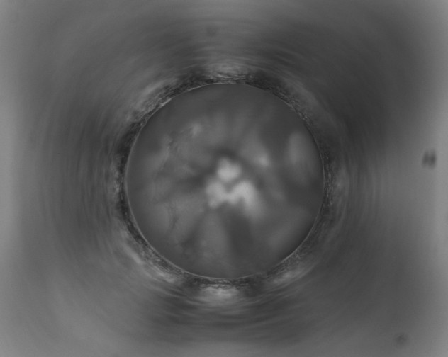 X0000110990749200906191427
