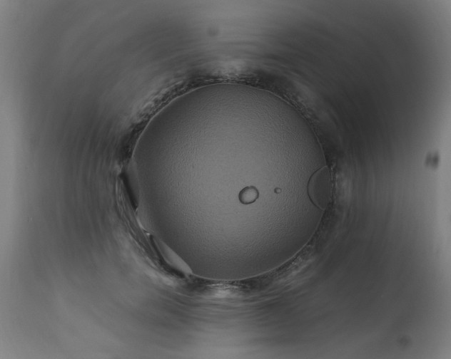 X0000110990750200906191427