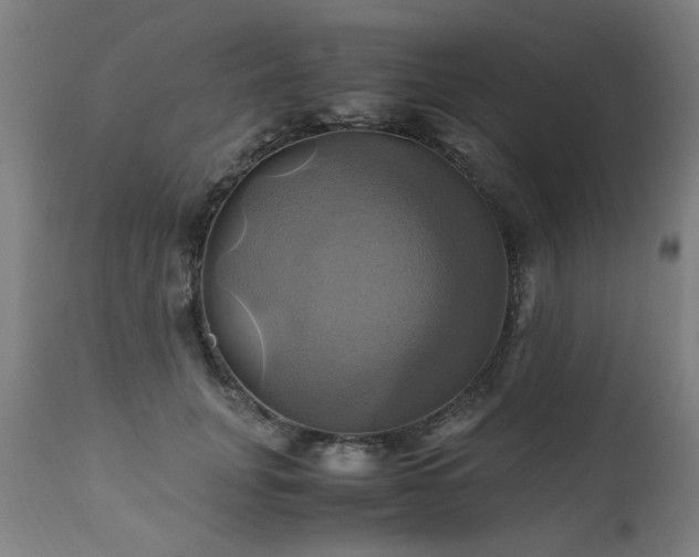X0000110990751200906191427