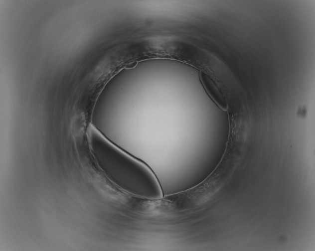 X0000110990752200906191427