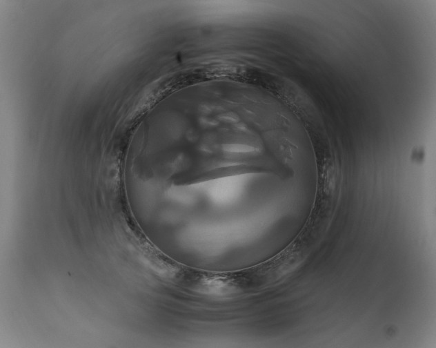 X0000110990753200906191427