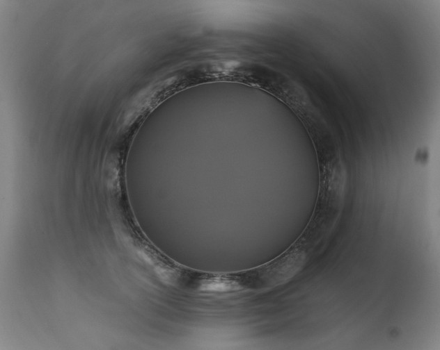 X0000110990754200906191427