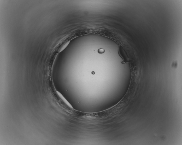 X0000110990756200906191427