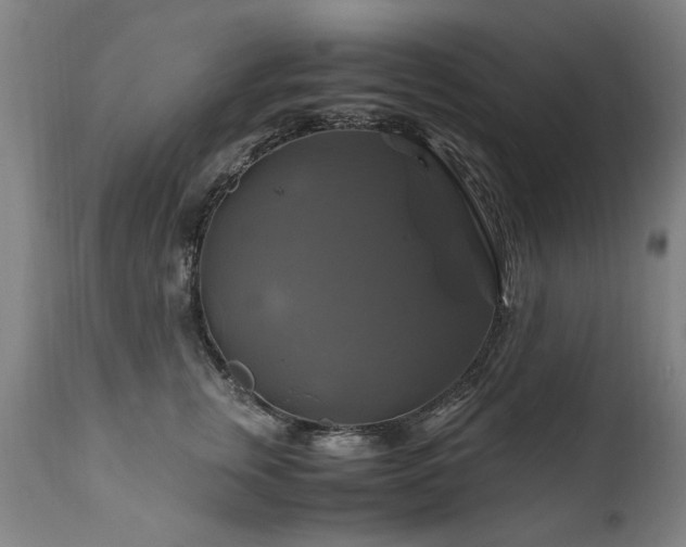 X0000110990759200906191427
