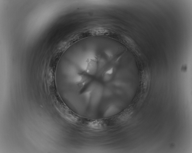 X0000110990761200906191427