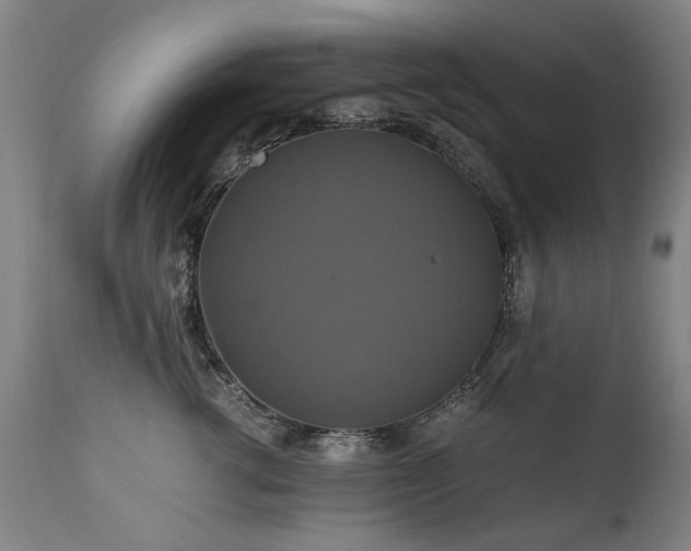 X0000110990762200906191427