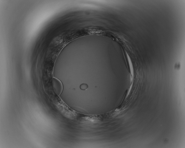 X0000110990763200906191427
