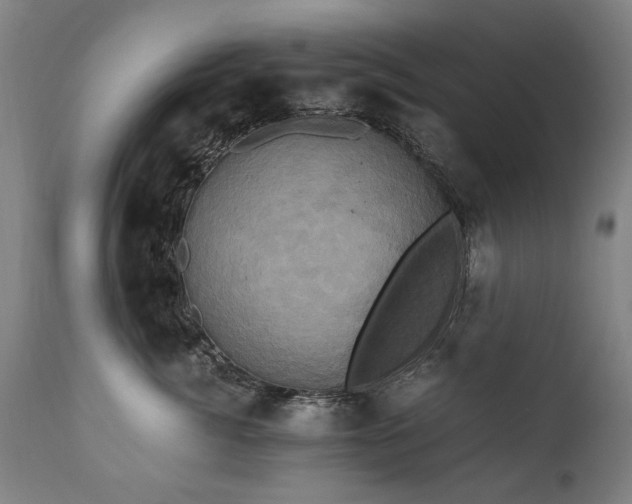 X0000110990764200906191427