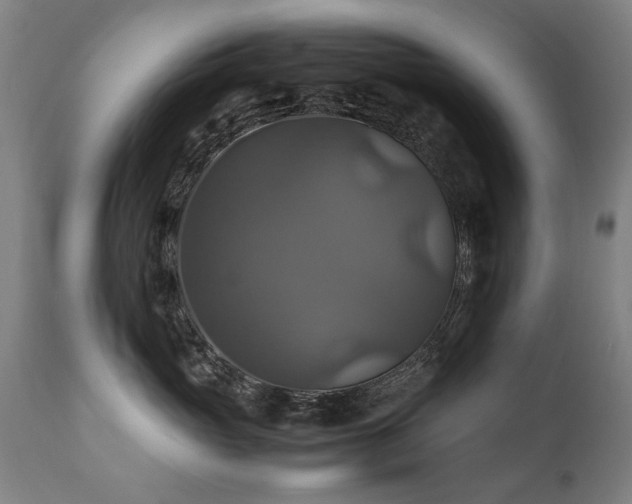 X0000110990765200906191427