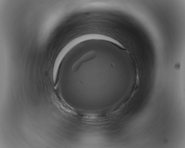 X0000110990766200906191427
