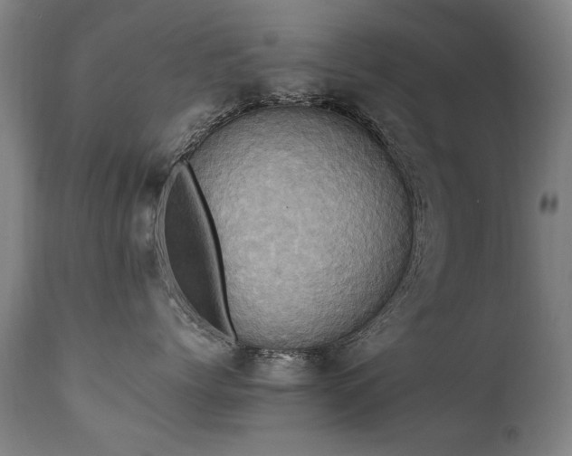 X0000110990768200906191427