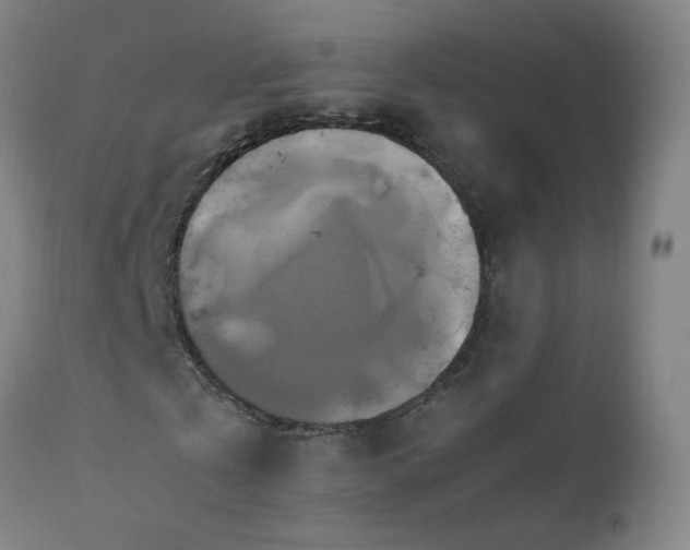 X0000110990769200906191426