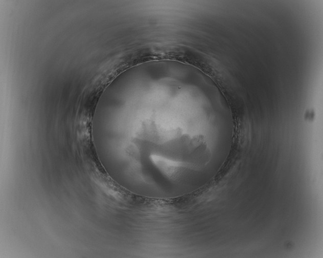 X0000110990770200906191426