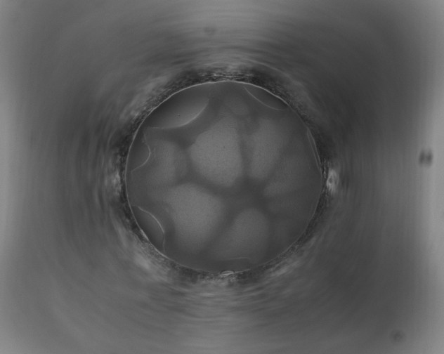 X0000110990771200906191426