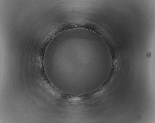 X0000110990772200906191426
