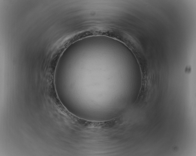 X0000110990773200906191426