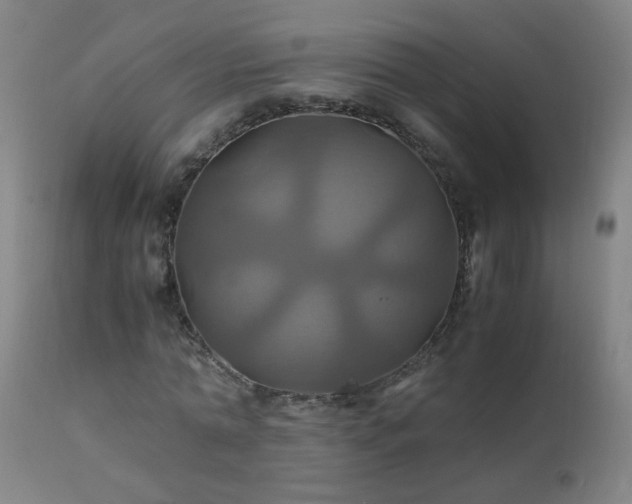 X0000110990774200906191426