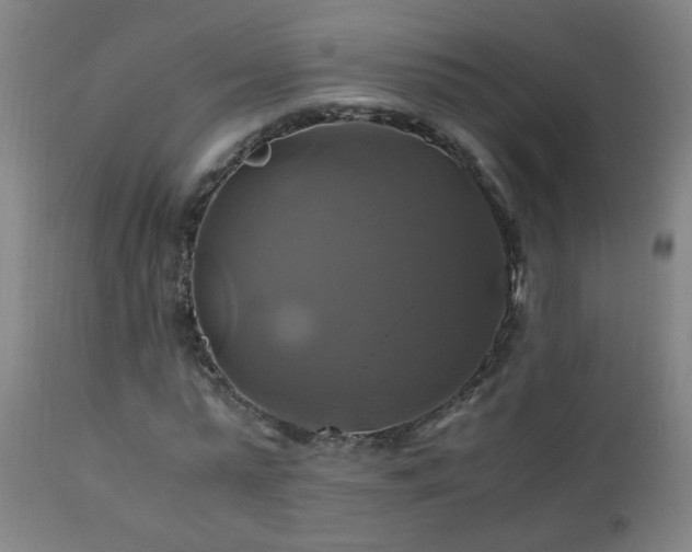 X0000110990775200906191426