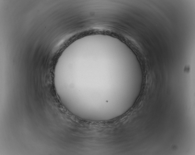 X0000110990776200906191426
