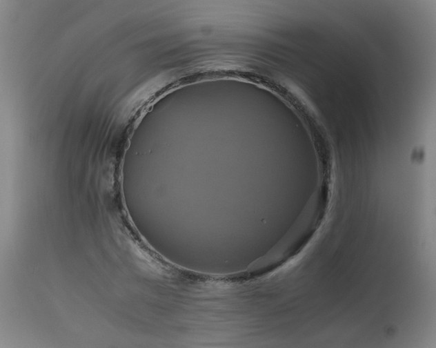 X0000110990777200906191426