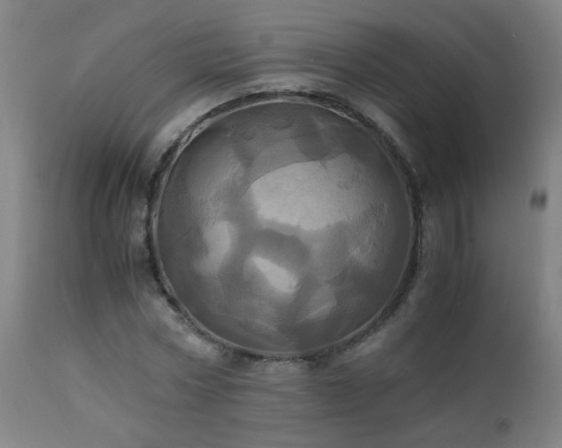 X0000110990778200906191426