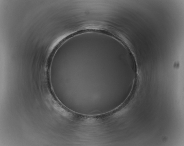 X0000110990779200906191426