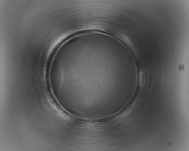 X0000110990780200906191426