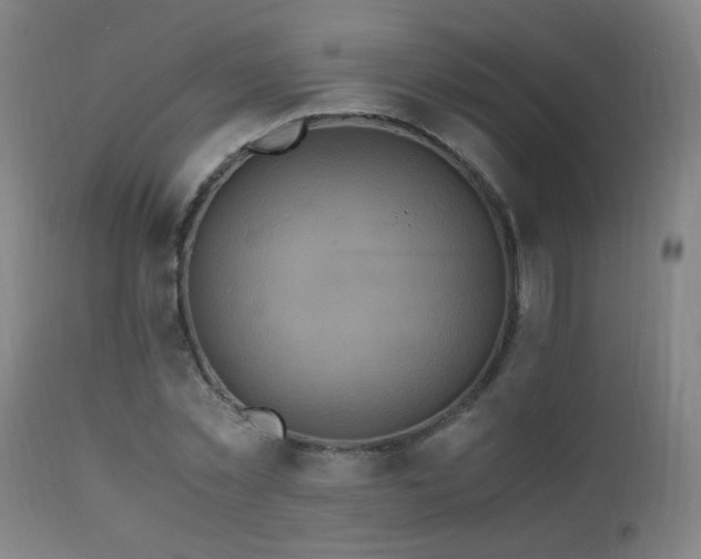 X0000110990781200906191426