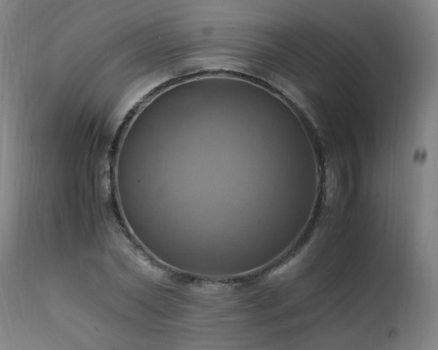 X0000110990782200906191426