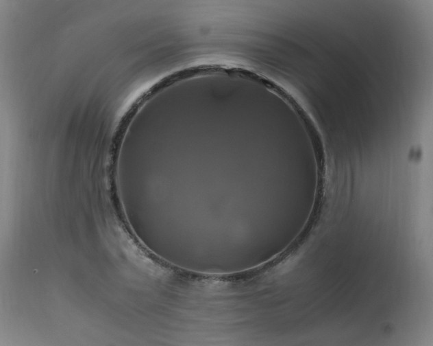X0000110990783200906191426