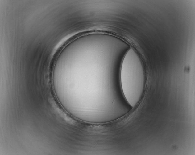 X0000110990784200906191426
