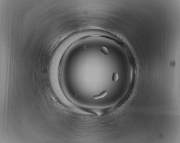 X0000110990785200906191426