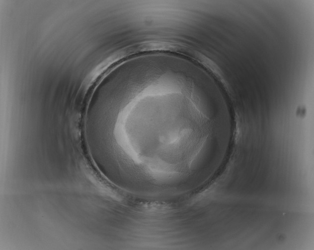 X0000110990786200906191426