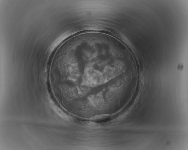 X0000110990787200906191426