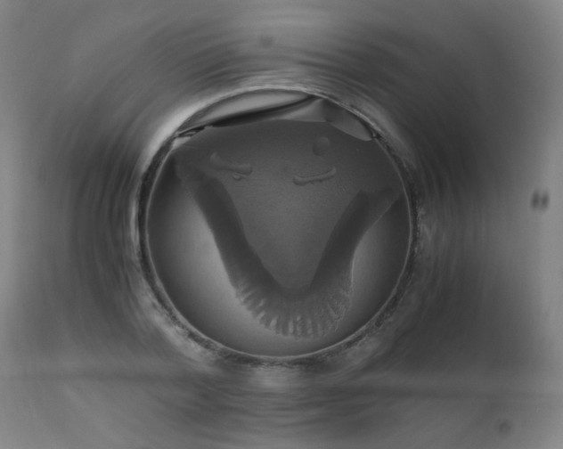 X0000110990788200906191426