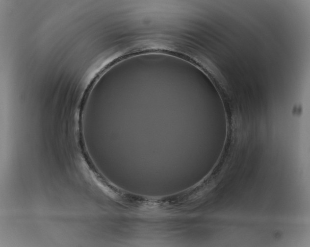X0000110990790200906191426