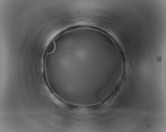 X0000110990791200906191426