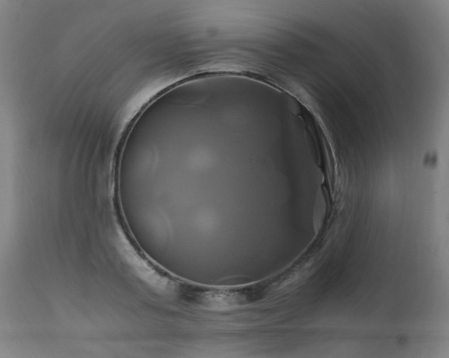 X0000110990795200906191426