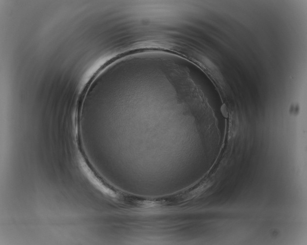 X0000110990796200906191426