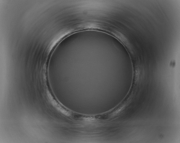 X0000110990798200906191426