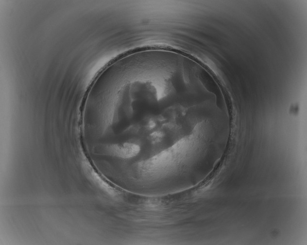 X0000110990799200906191426