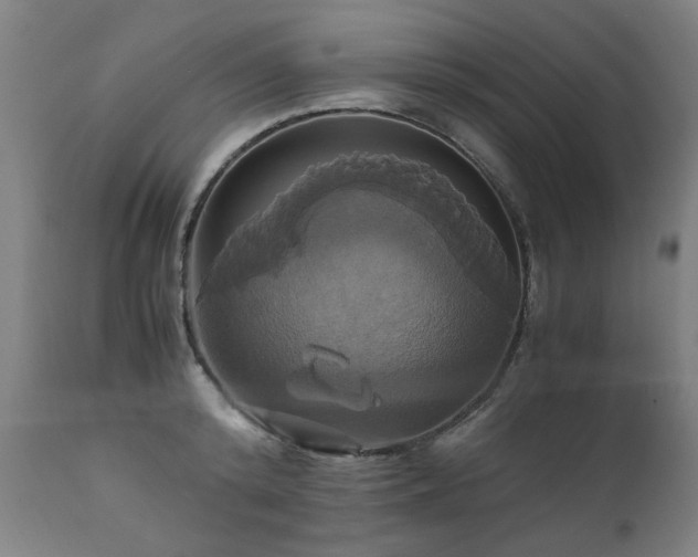 X0000110990800200906191426