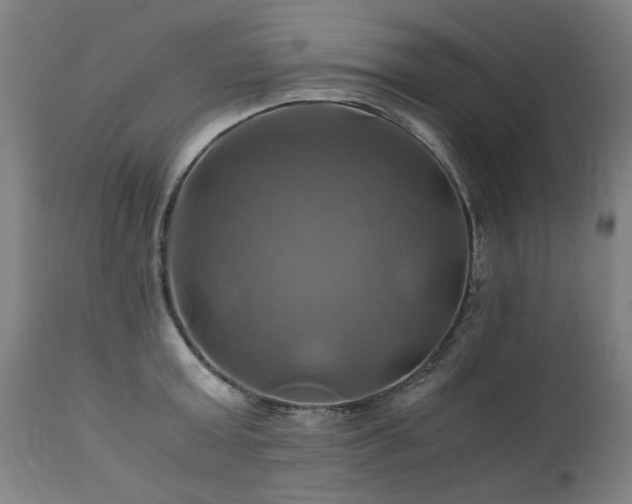 X0000110990803200906191426