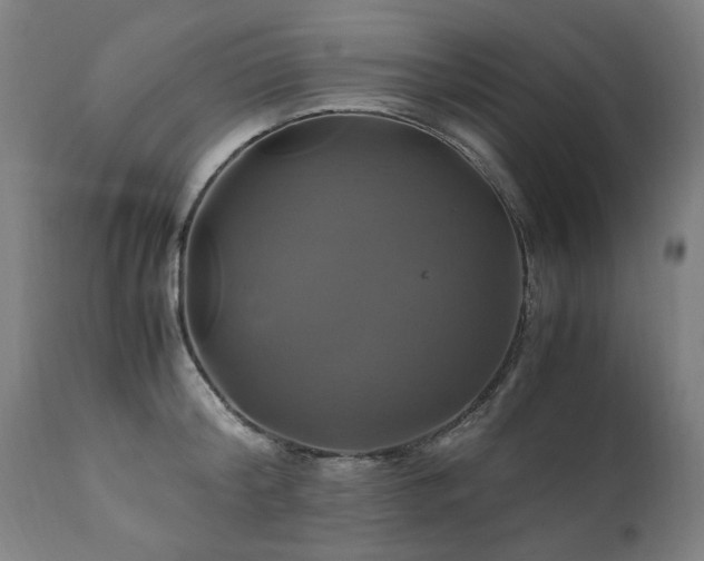 X0000110990804200906191426