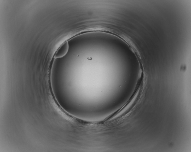 X0000110990805200906191426