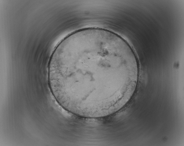 X0000110990807200906191426