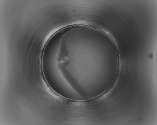 X0000110990808200906191426