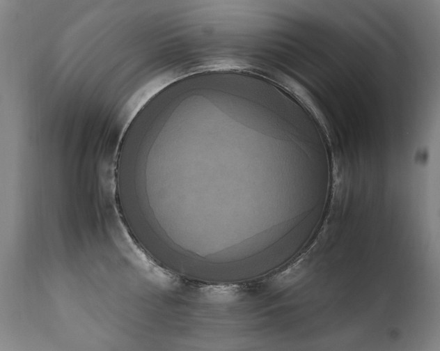 X0000110990810200906191426