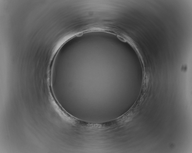 X0000110990811200906191426